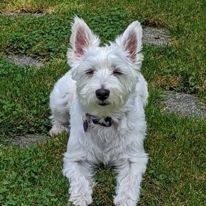 Meet your Posher, Mary